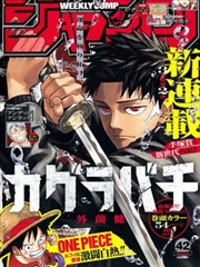 金凤影视收藏清单漫画改编招牌上的猫招牌图